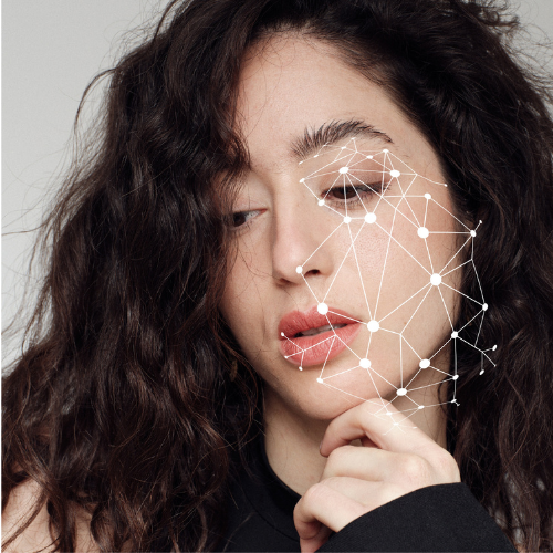 Analyse IA de la carnation